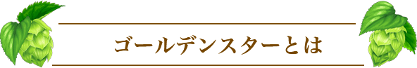 ゴールデンスターとは