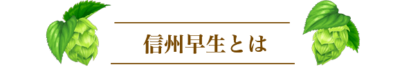 信州早生とは