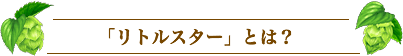 「リトルスター」とは?