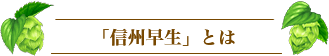 「信州早生」とは