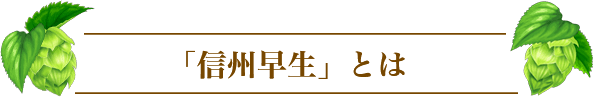 「信州早生」とは