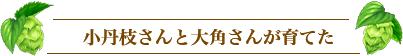 小丹枝さんと大角さんが育てた