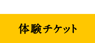 体験チケット