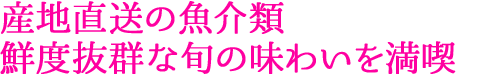 産地直送の魚介類 鮮度抜群な旬の味わいを満喫