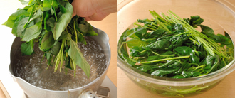 鍋にたっぷりの湯を沸かし、モロヘイヤをゆでる。茎の方が堅いので、茎から先に湯に入れ、しんなりしてきたら葉まで入れる。ゆで上がったら水にとってアクを抜き、ざるに上げて水気をきる。