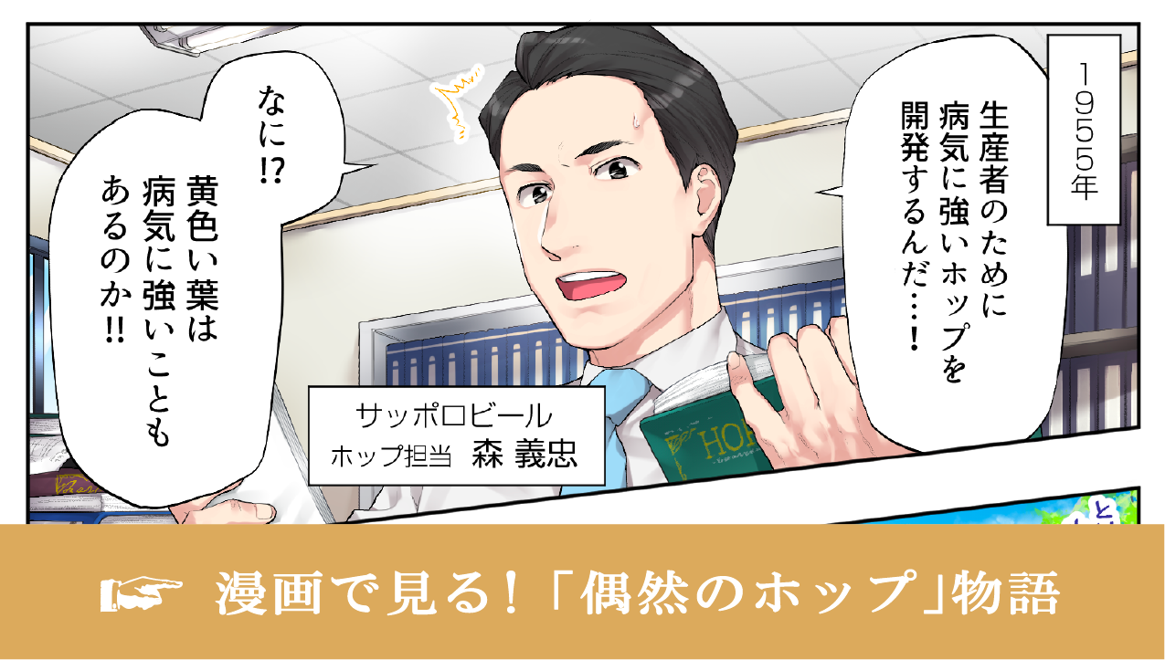 漫画で見る！「偶然のホップ」物語