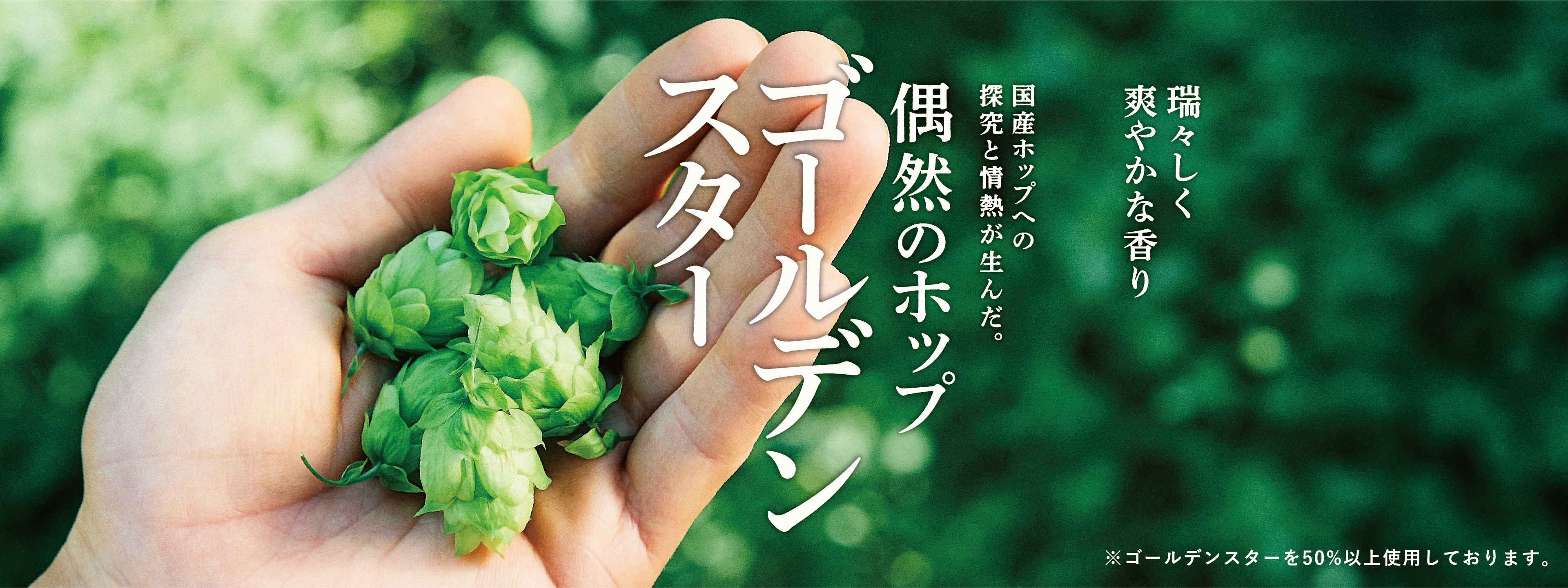瑞々しく爽やかな香り 国産ホップへの探究と情熱が生んだ。偶然のホップ ゴールデンスター