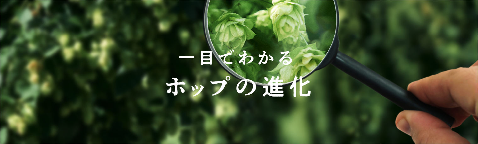 一目でわかるホップの進化