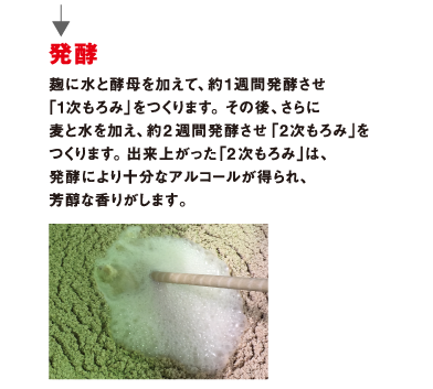 発酵 麹に水と酵母を加えて、約1週間発酵させ「1次もろみ」をつくります。その後、さらに麦と水を加え、約2 週間発酵させ「2次もろみ」をつくります。出来上がった「2 次もろみ」は、発酵により十分なアルコールが得られ、芳醇な香りがします。