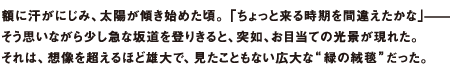 額に汗がにじみ、太陽が傾き始めた頃。「ちょっと来る時期を間違えたかな」̶̶そう思いながら少し急な坂道を登りきると、突如、お目当ての光景が現れた。それは、想像を超えるほど雄大で、見たこともない広大な
