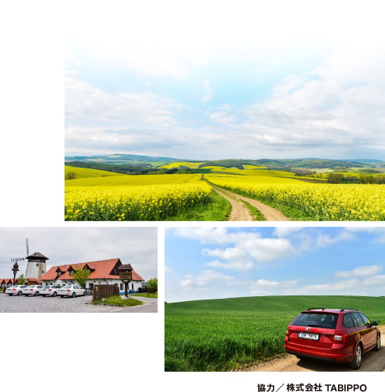 ブルノから車でモラヴィア草原地帯へ約1時間