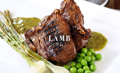 LAMB ラム