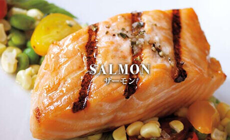 SALMON サーモン